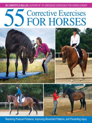 cover image of 55 Corrective Exercises for Horses